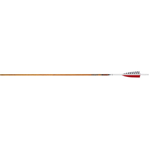 Easton Carbon Legacy Arrows 340 4 in. Feathers 6 pk.