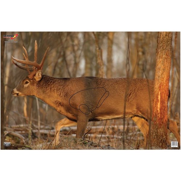 Birchwood Casey EZE-Scorer Whitetail Target 23×35 in. 2 pk.