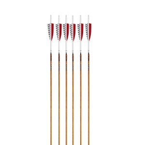 Arrows and Shafts