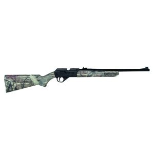 Pellet and BB Guns