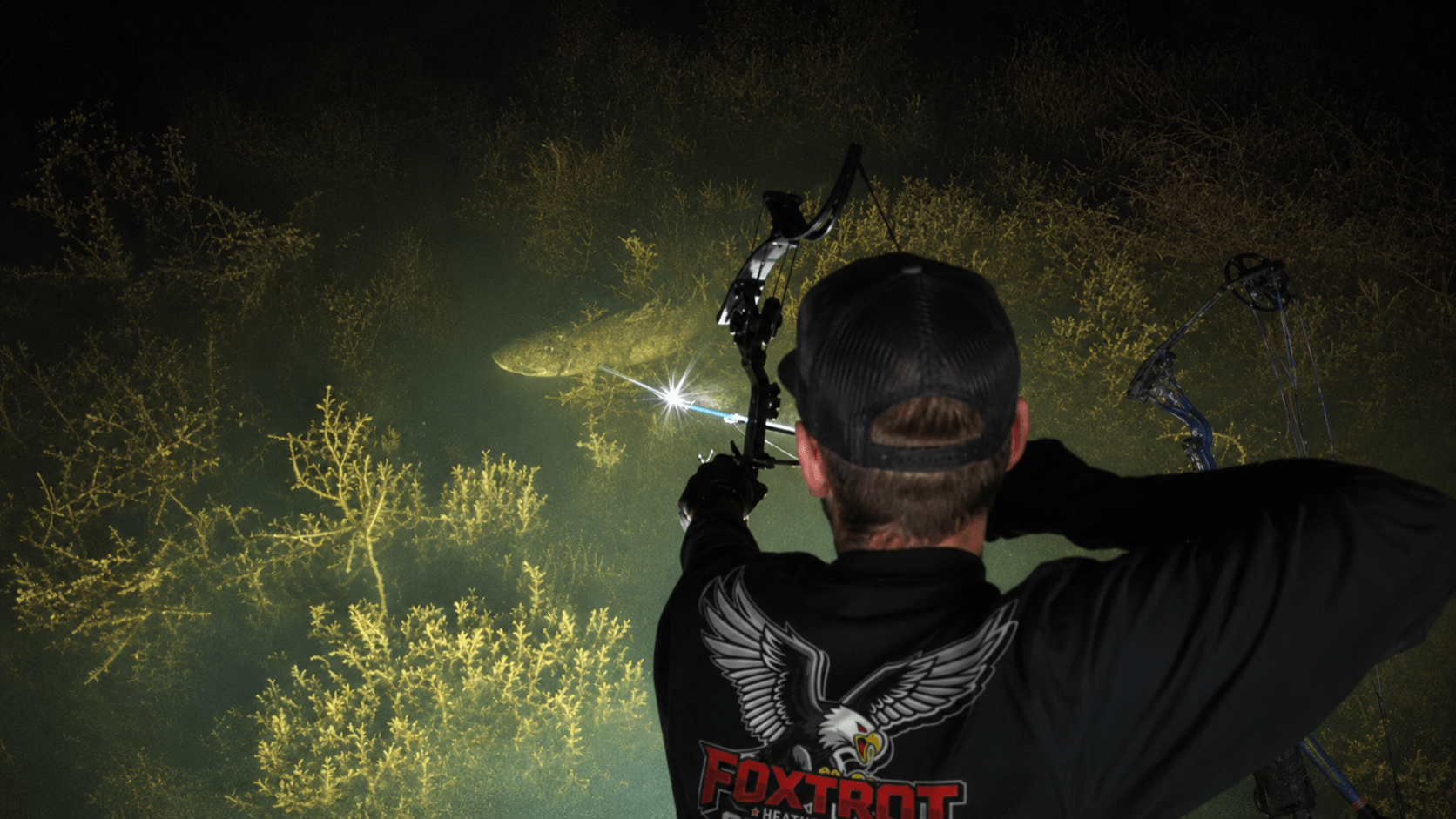Compound Bows