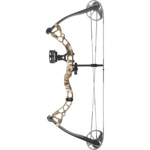 Compound Bows